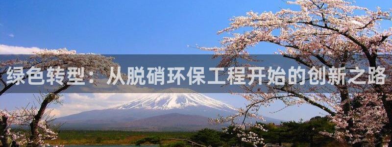 彩名堂客户端官网：绿色转型：从脱硝环