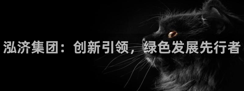 彩名堂客户端加拿大：泓济集团：创新引