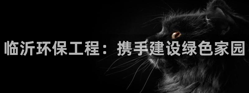 彩名堂预测软件：临沂环保工程：携手建