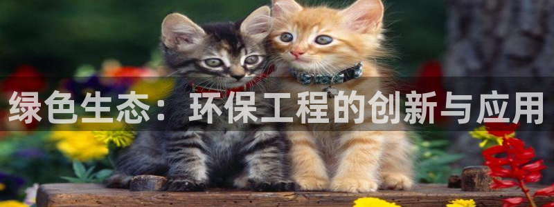 彩名堂免费计划使用方法：绿色生态：环