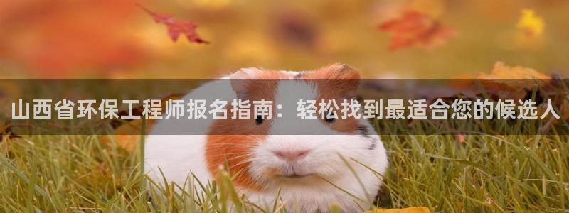 彩名堂怎么打最稳：山西省环保工程师报