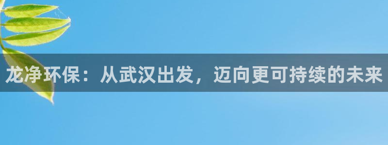 彩名堂app官方网：龙净环保：从武汉