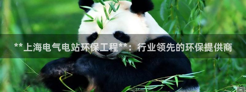 彩名堂官网在线计划怎么不更新了：**