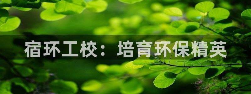 彩名堂免费计划5.0使用方法是什么：