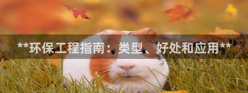 彩名堂计划怎么打不开了：**环保工程