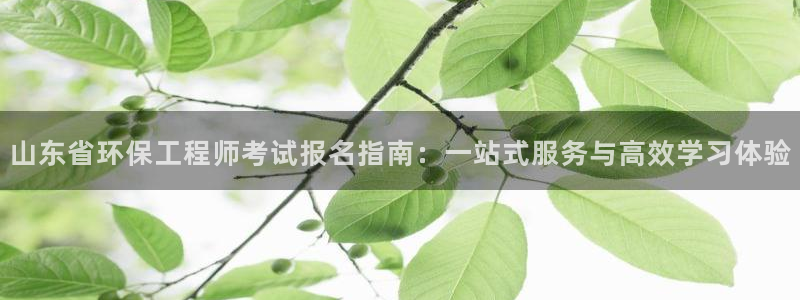彩名堂官网：山东省环保工程师考试报名