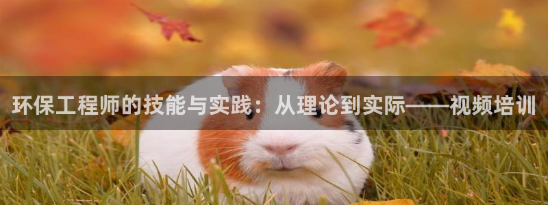 最新彩名堂计划：环保工程师的技能与实