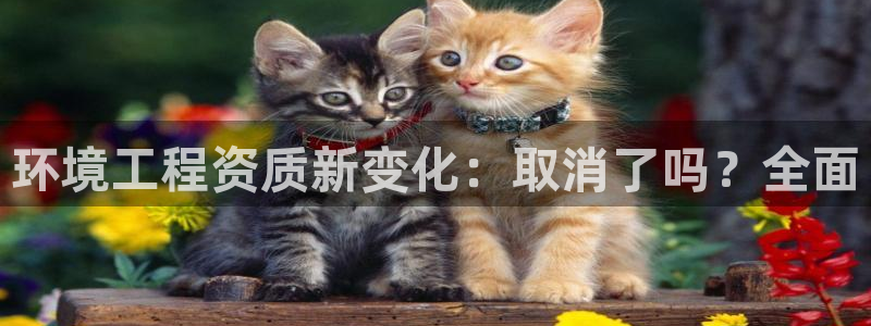 彩名堂app官方下载：环境工程资质新变化：取消了吗？全面