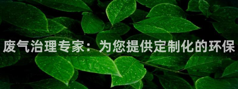 彩名堂怎么买准确率高：废气治理专家：为您提供定制化的环保