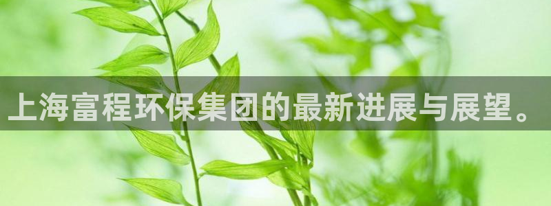 彩名堂官网：上海富程环保集团的最新进展与展望。