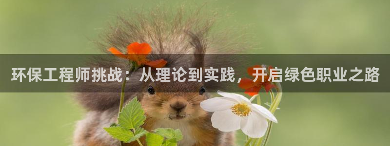 彩名堂怎么用不输：环保工程师挑战：从