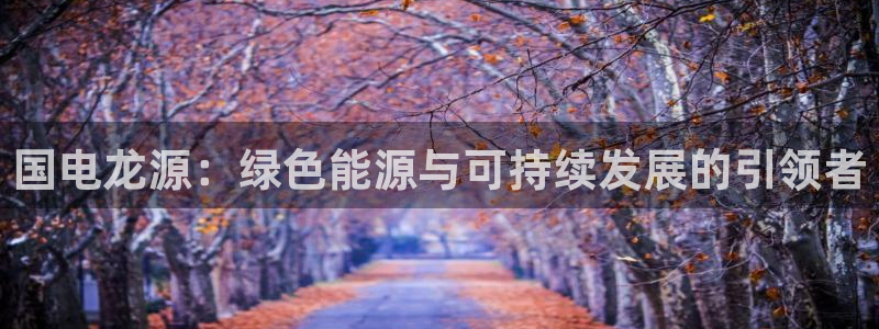 彩名堂免费计划官网50：国电龙源：绿色能源与可持续发展的引领者