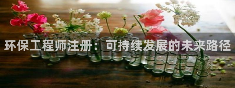 彩名堂预测软件与分析：环保工程师注册