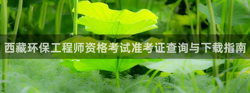 彩名堂app官方网址是多少：西藏环保