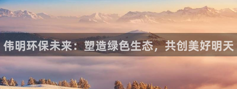 彩名堂计划最新版手机版：伟明环保未来