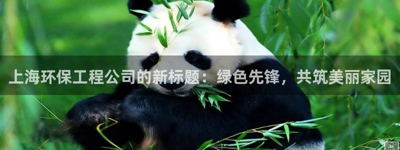 下载苹果手机版彩名堂：上海环保工程公