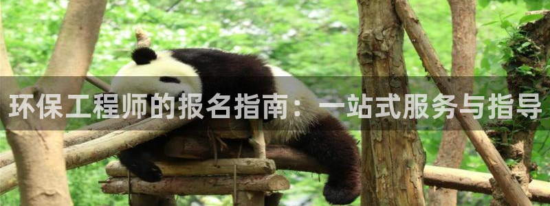 彩名堂下载官网：环保工程师的报名指南