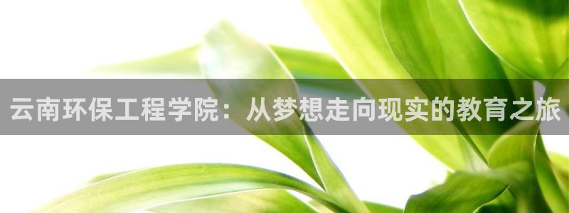 彩名堂全天计划：云南环保工程学院：从