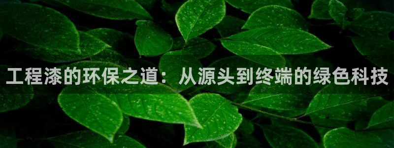 彩名堂计划怎么出的：工程漆的环保之道：从源头到终端的绿色科技