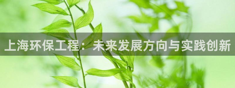 彩名堂预测软件：上海环保工程：未来发