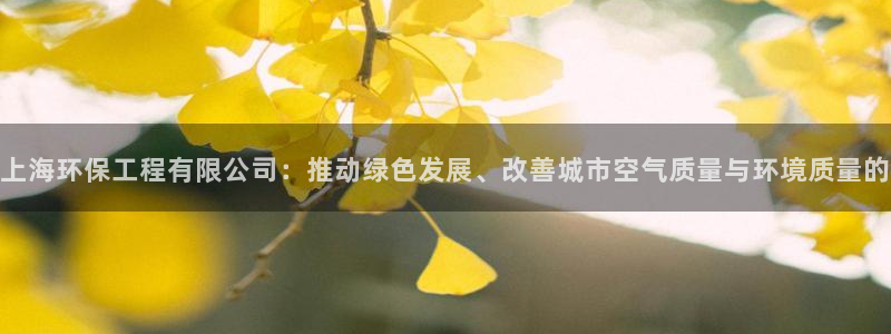 彩名堂好用还是千里马好用一点：上海环