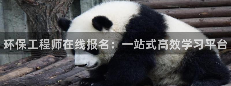 彩名堂预测官网：环保工程师在线报名：一站式高效学习平台