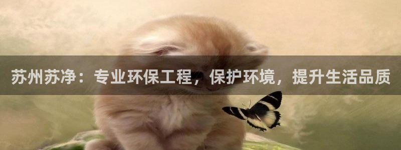 彩名堂安卓客户端官网下载安装：苏州苏