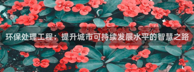 彩名堂计划官方客服：环保处理工程：提