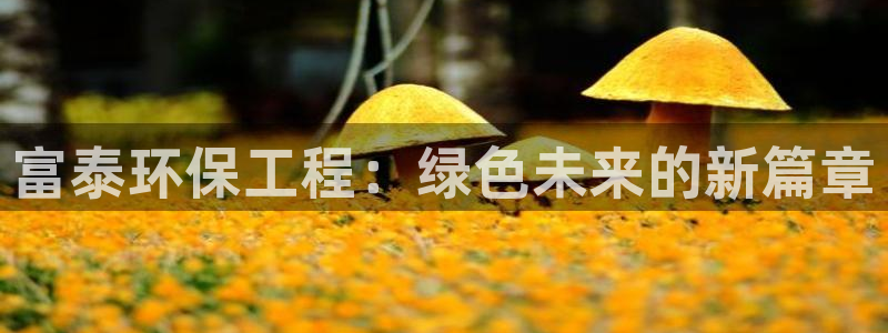 彩名堂计划怎么跟不挂：富泰环保工程：绿色未来的新篇章