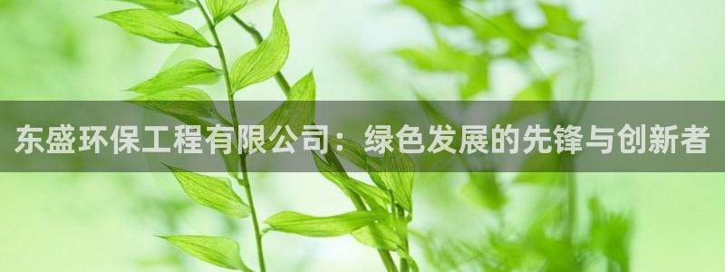 彩名堂客户端是永久免费吗：东盛环保工