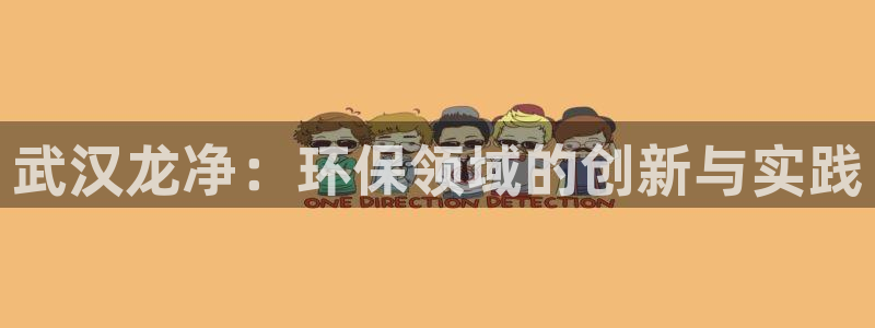 彩名堂预测软件与分析：武汉龙净：环保领域的创新与实践