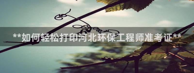 彩名堂.apk：**如何轻松打印河北环保工程师准考证**
