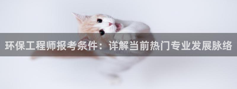彩名堂移动客户端怎么下载：环保工程师报考条件：详解当前热门专