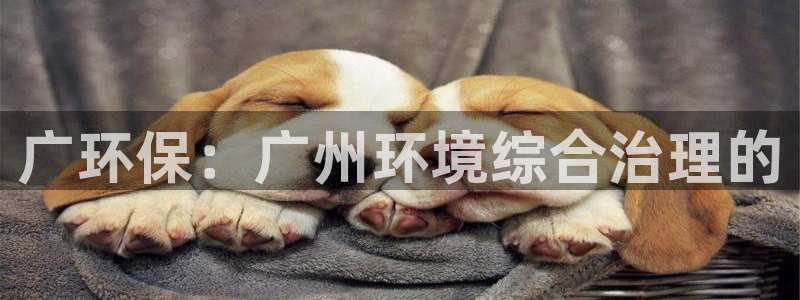 彩名堂计划app新版：广环保：广州环