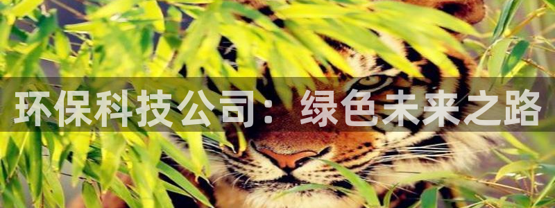 彩名堂旧版本：环保科技公司：绿色未来