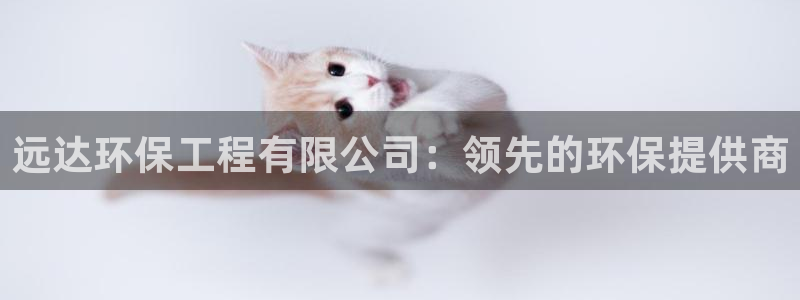 彩名堂一直不出结果怎么回事呀：远达环保工程有限公司：领先的环