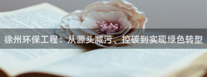彩名堂官网谁有：徐州环保工程：从源头减污、控碳到实现绿色转型