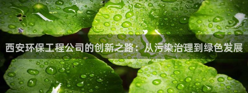 彩名堂加拿大怎么买准确率高：西安环保