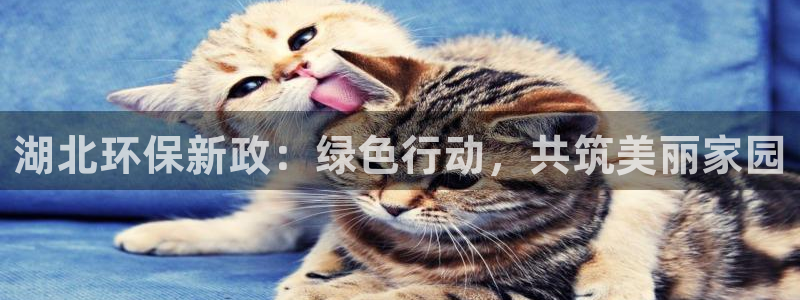 彩名堂官网网页计划：湖北环保新政：绿色行动，共筑美丽家园